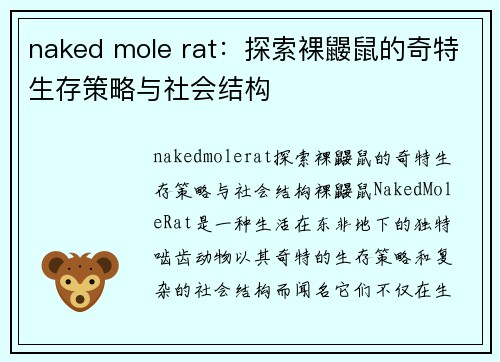 naked mole rat:探索裸鼹鼠的奇特生存策略与社会结构
